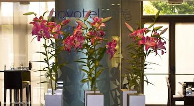 نووتل نایس سنتر