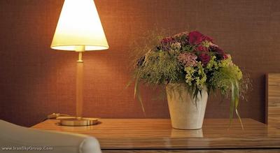 بست وسترن رافائل آلتونا