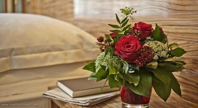 بست وسترن رافائل آلتونا