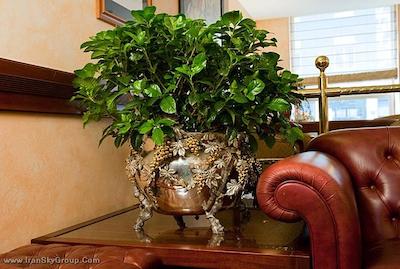 بریستول میلان