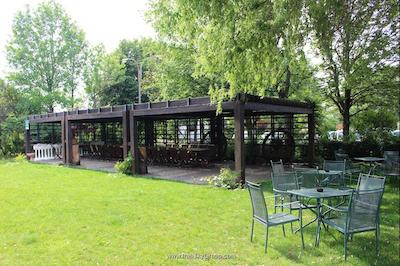 دا ماریوچیا