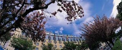 آرکوتل ویمبرگر وین