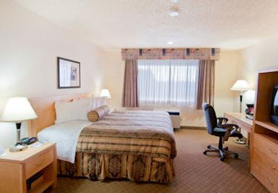 بست وسترن پلاس چلسی این