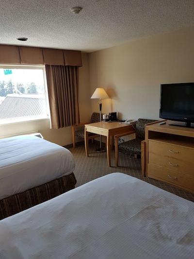 بست وسترن پلاس چلسی این