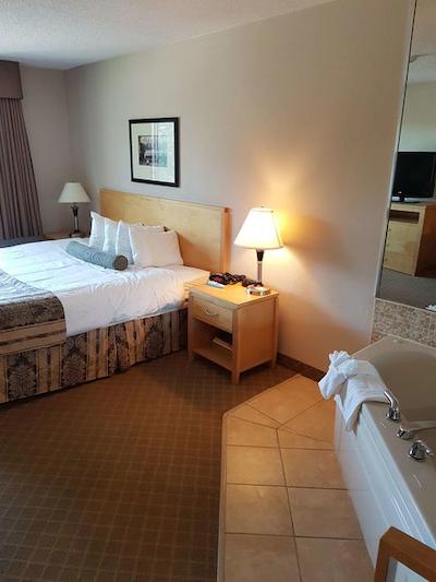 بست وسترن پلاس چلسی این