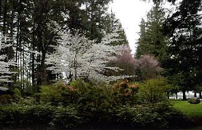 بست وسترن پلاس چلسی این