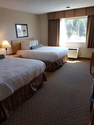 بست وسترن پلاس چلسی این