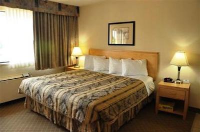 بست وسترن پلاس چلسی این