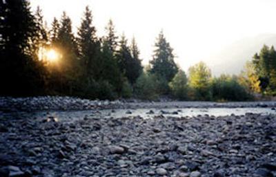 بست وسترن پلاس چلسی این