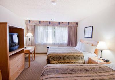 بست وسترن پلاس چلسی این