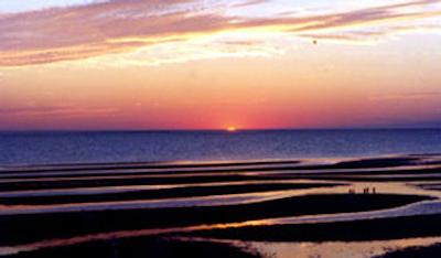 بست وسترن پلاس چلسی این