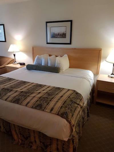 بست وسترن پلاس چلسی این