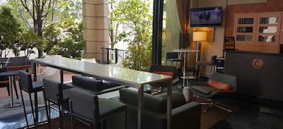 اکزکیوتیو وینتیج پارک