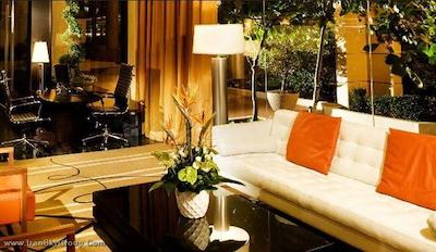 اکزکیوتیو وینتیج پارک