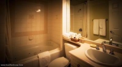 اکزکیوتیو وینتیج پارک