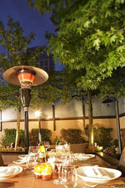 اکزکیوتیو وینتیج پارک