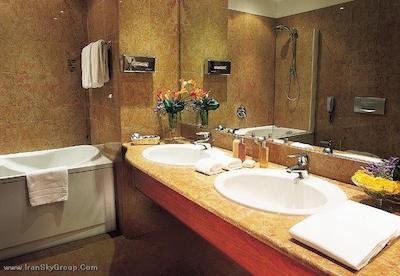 بست وسترن اسکت