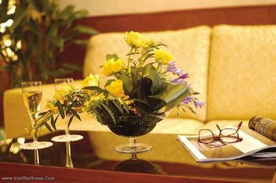 بست وسترن اسکت