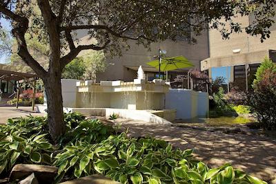 دابل تری بای هیلتون مونترال