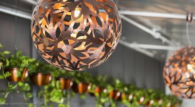 گرند چنسلر بریزبین