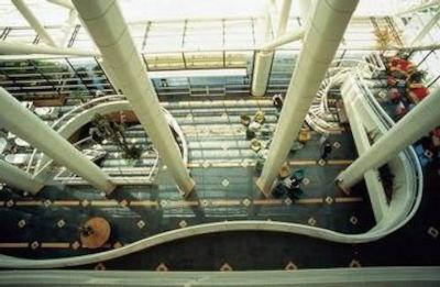 گلدن تولیپ پولیستا پلازا