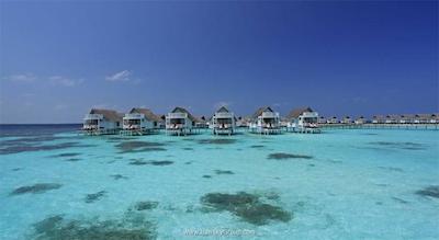 سنتارا گرند آیلند ریزورت اند اسپا مالدیوز