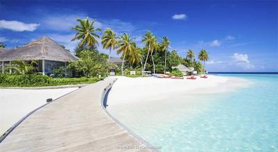 سنتارا گرند آیلند ریزورت اند اسپا مالدیوز