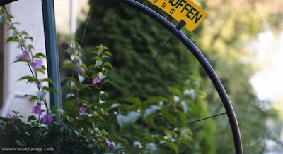 هوهنستاوفن