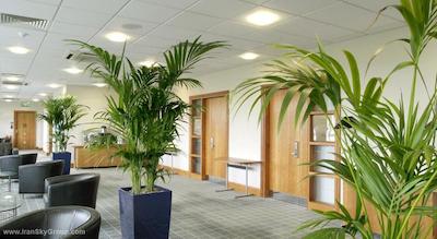 هالیدی این ادینبورگ