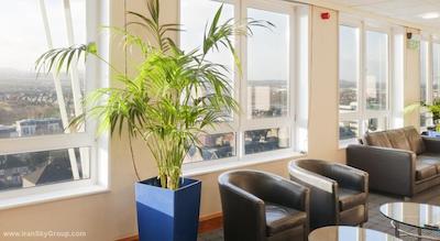 هالیدی این ادینبورگ