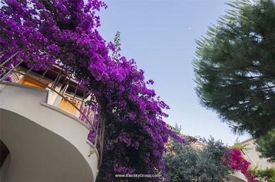 مون شاین هتل اند سوئیتز