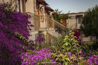 مون شاین هتل اند سوئیتز