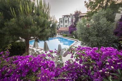 مون شاین هتل اند سوئیتز