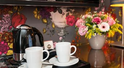 بست وسترن پلاس اس تی رافائل