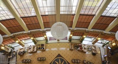 گلدن تولیپ سیب مسقط