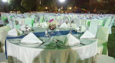 گلدن تولیپ سیب مسقط