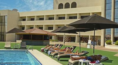 گلدن تولیپ سیب مسقط