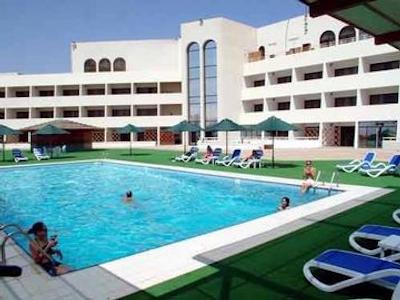 گلدن تولیپ سیب مسقط