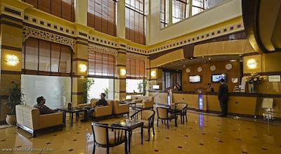 گلدن تولیپ سیب مسقط