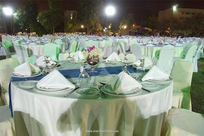 گلدن تولیپ سیب مسقط