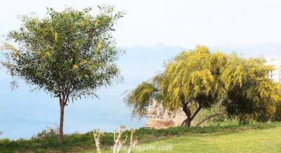 دورو سوئیتس هتل