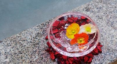 فریزر پلیس سنترال سئول