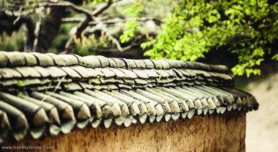 فریزر پلیس سنترال سئول