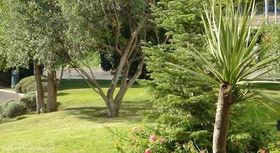 نوتل مارسیل است