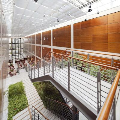 ان‌ اچ تورینو لینگوتو تک