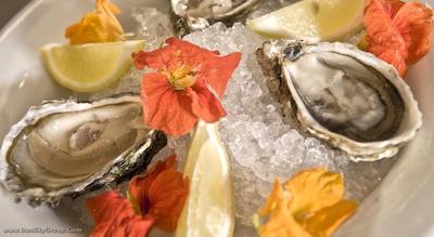 ویندهم برلین اکسلسیور