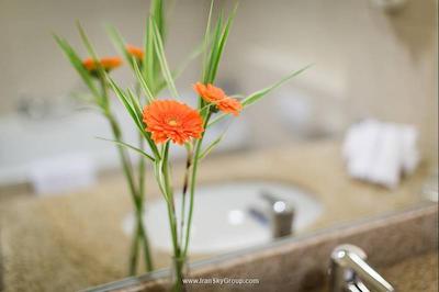 کورت یارد بروکسل