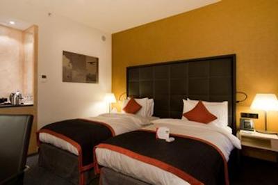 کراون پلازا سنت پیترزبورگ ایرپورت