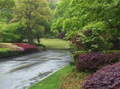 هالیدی این اکسپرس پوتوو