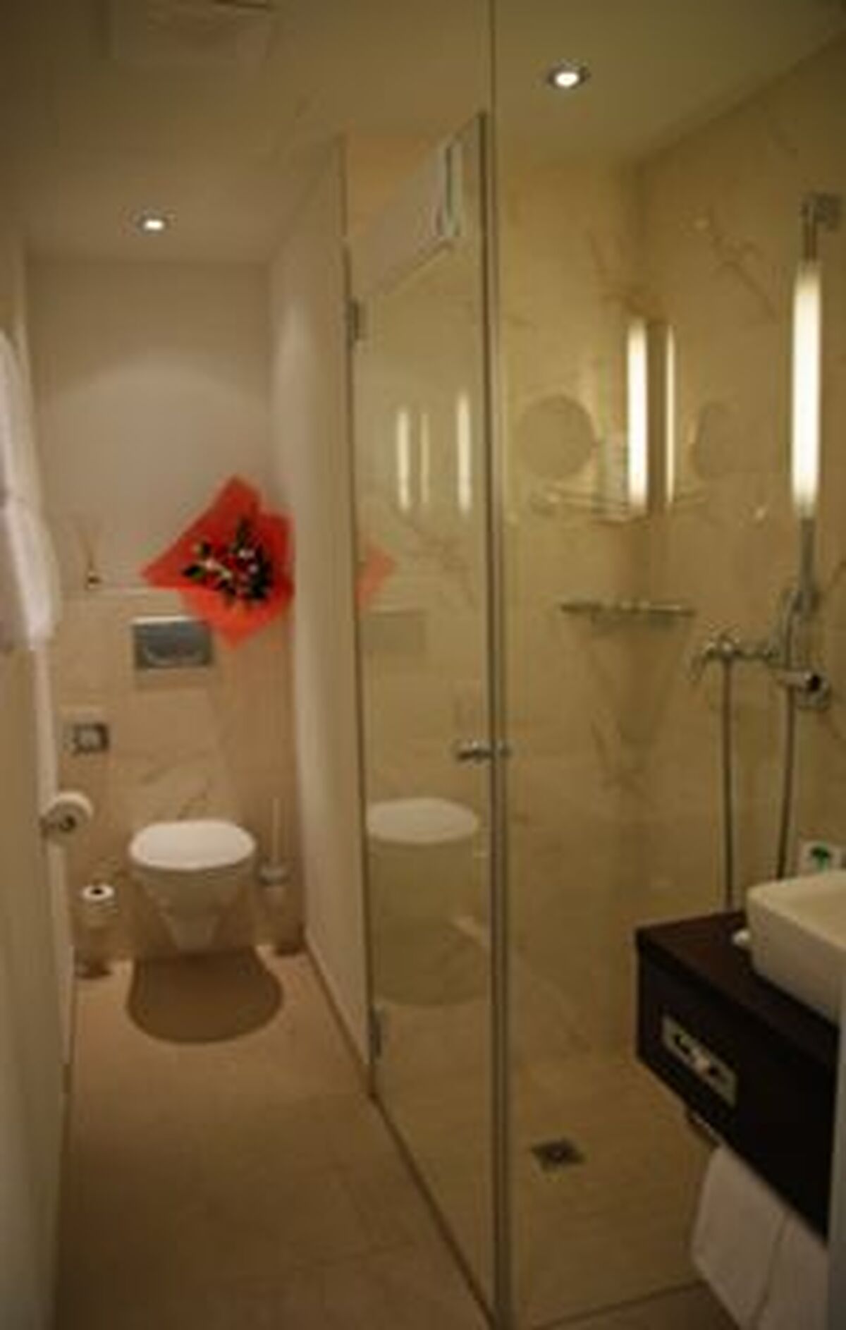 الکساندر